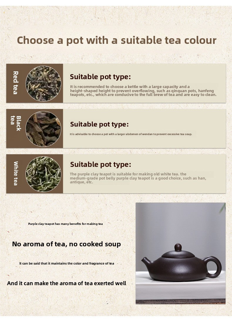 Authentic Yixing Zisha Teapot Original Ore Black Gold Sand Clay Painting Three Friends of Winter Dongpo Stone Scoop Teapot Home Kung Fu Tea Pot - CnTeaDiary